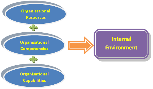 Organizational Analysis and Appraisal - core competency - CRITICAL ...